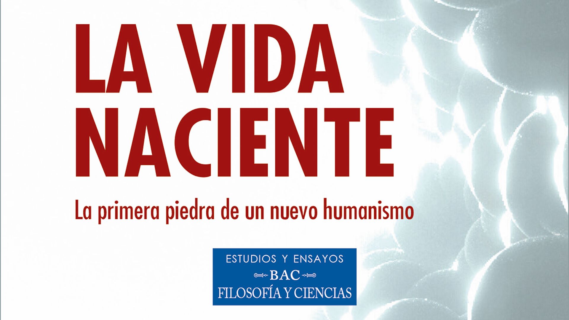La vida naciente