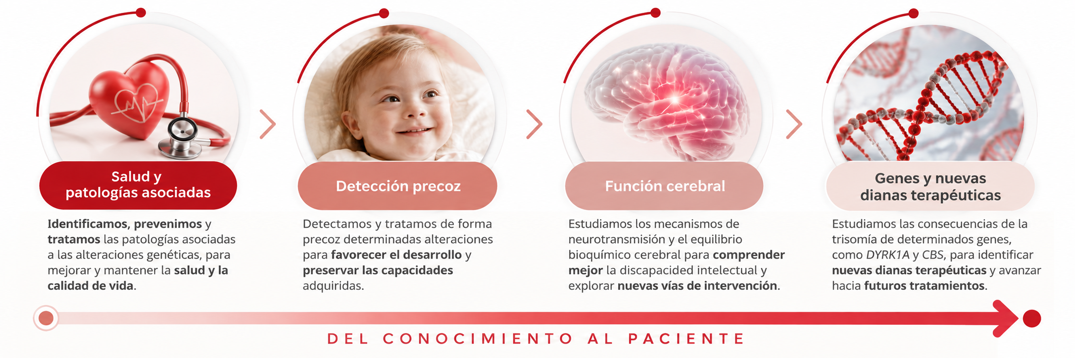 Cuatro ejes estratégicos de investigación de la Fundación Jérôme Lejeune